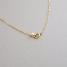 將圖片載入圖庫檢視器 temtem 14KGF 淡水珍珠頸鏈 TM-N054