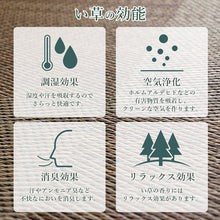 將圖片載入圖庫檢視器 |預 定|日本製イケヒコ IKEHIKO NOA大尺寸消暑家居午睡休息地墊