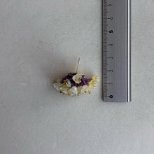 將圖片載入圖庫檢視器 and.cou- ears/ Botanica 植物圖鑑 木香薔薇 モッコウバラ