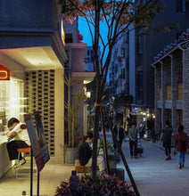 將圖片載入圖庫檢視器 東京APOLLON'S GOLD精品咖啡豆 獨有極級淺焙之王