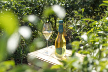 將圖片載入圖庫檢視器 SIXTY STONE MOUNTAIN <br>SAICHO SPARKLING TEA 750ML