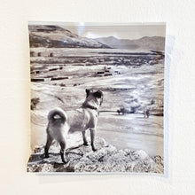 將圖片載入圖庫檢視器 東京清澄白河iki ESPRESSO掛耳5pcs