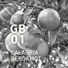 將圖片載入圖庫檢視器 GB01 CALABRIA BERGAMOT 10ml- 香薰精油Global Botanical Air系列|@aroma