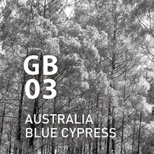 將圖片載入圖庫檢視器 GB03 AUSTRALIA BLUE CYPRESS 10ml- 香薰精油Global Botanical Air系列|@aroma