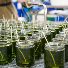 將圖片載入圖庫檢視器 P.F. Candle 聖誕限定- 乳香與沈香蠟燭7.2 oz