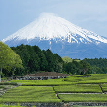 將圖片載入圖庫檢視器 HOJICHA <br>SAICHO SPARKLING TEA 750ML
