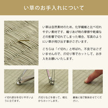 將圖片載入圖庫檢視器 InStyle OTO 九州 福岡縣產藺草地墊S