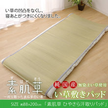 將圖片載入圖庫檢視器 イケヒコ IKEHIKO 九州天然無染素肌草蓆墊88x200cm 條紋