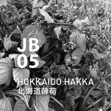 將圖片載入圖庫檢視器 JB05北海道薄荷10ml 香薰精油Japanese air系列|@aroma