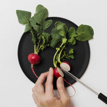 將圖片載入圖庫檢視器 CHOPLATE 萬用盤