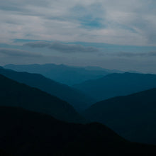 將圖片載入圖庫檢視器 ODAI - REED DIFFUSER SET烏樟樹枝
