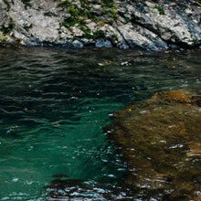 將圖片載入圖庫檢視器 ODAI - REED DIFFUSER SET烏樟樹枝