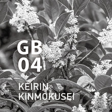 將圖片載入圖庫檢視器 GB04 KEIRIN KINMOKUSEI 10ml- 香薰精油Global Botanical Air系列｜@aroma
