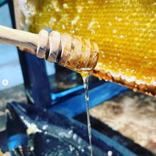 將圖片載入圖庫檢視器 藤原養蜂場- 蘋果花蜂蜜
