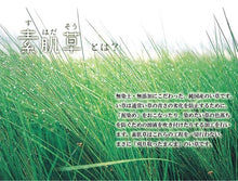將圖片載入圖庫檢視器 イケヒコ IKEHIKO 九州天然無染素肌草蓆墊88x200cm 條紋
