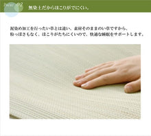 將圖片載入圖庫檢視器 イケヒコ IKEHIKO 九州天然無染素肌草蓆墊88x200cm 條紋
